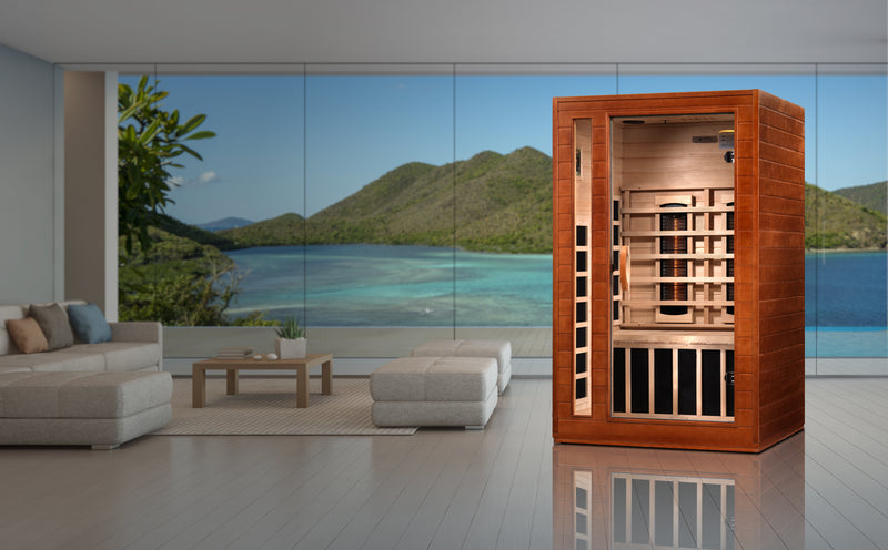 Infrared sauna in a modern living room with a scenic view of water and mountains.